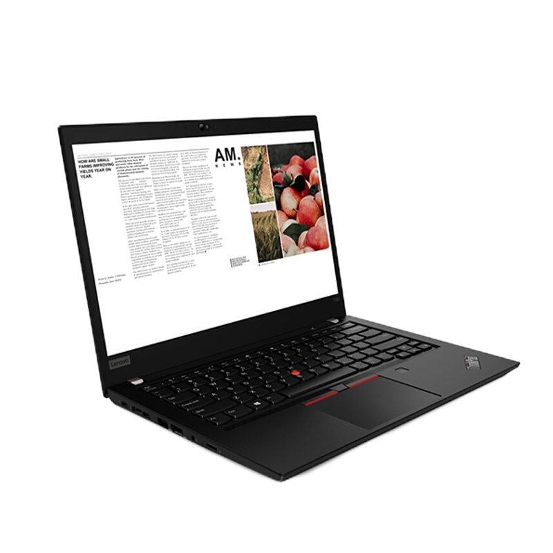 （DT）联想 Thinkpad T490 I5-8265U/8G/256G/集成 14寸FHD屏笔记本（单位：台）黑色