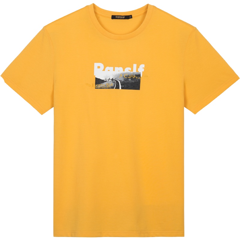 千纸鹤男装圆领印花上衣2020新款韩版时尚休闲男士短袖T恤20506