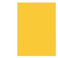 schoolchild 彩色卡纸硬A4彩色复印纸打印纸 黄色[100张] A4 硬卡纸160g