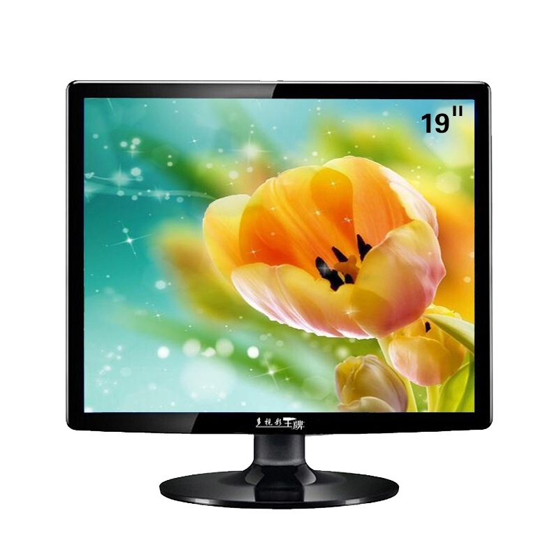 多视彩（DUOSHICAI）ZT-W25F 19英寸LED高清液晶4:3屏幕比例 VGA单接口 支持壁挂安装