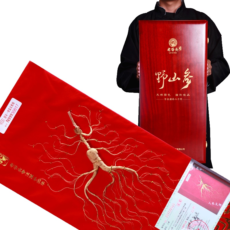 老谷头 东北人参 野山参礼盒 吉林长白山山参人参礼盒 林下参