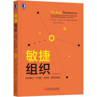 敏捷组织 如何建立一个创新、可持续、柔性的组织(原书第2版) 