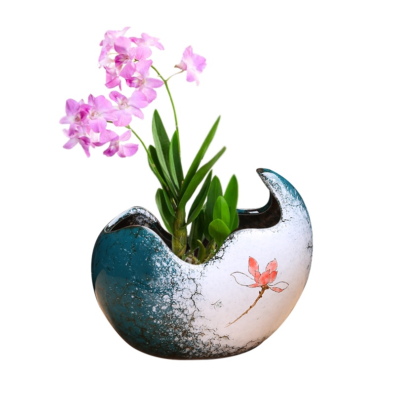 筒钱草盆 室内铜钱草专用盆土养室外泡盆花盆水仙花绿植物水培