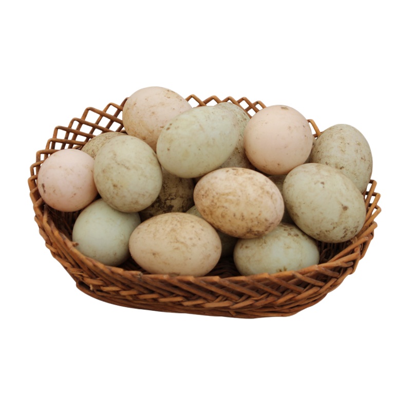 正宗20枚土鸭蛋农家散养新鲜生草鸭蛋野生水鸭青绿皮壳鲜鸭蛋鸭蛋新鲜生土农村家散放养青壳草麻绿皮笨非双黄水野大个正宗