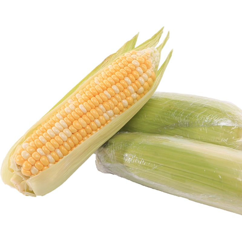 水果玉米甜玉米新鲜蔬菜 带箱10斤