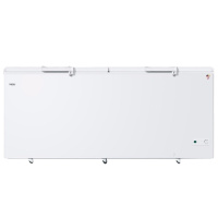 (Haier)海尔商用冰柜大容量家用冷柜卧式冷藏冷冻转换冷柜 顶开双门冰柜629升低温冷柜BC/BD-629HEZ