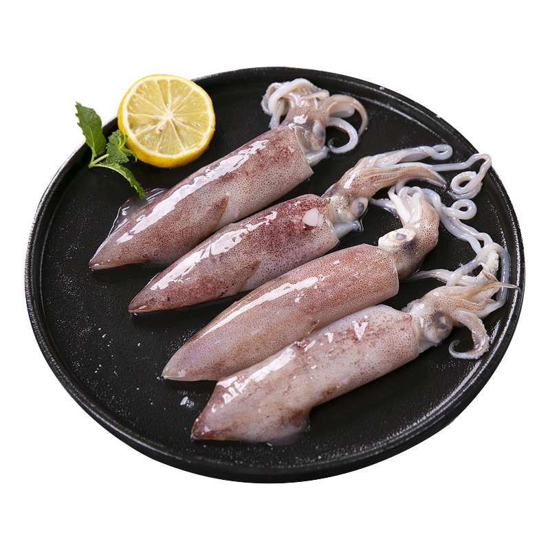[五个农民]鲜活灯光小管鱿鱼3盒装 新鲜生鲜冷冻海鲜乌贼笔管鱼鱿鱼