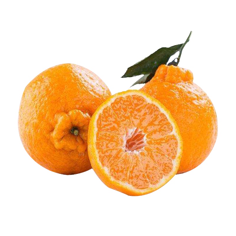 四川春见耙耙柑5斤大果8-11个新鲜水果