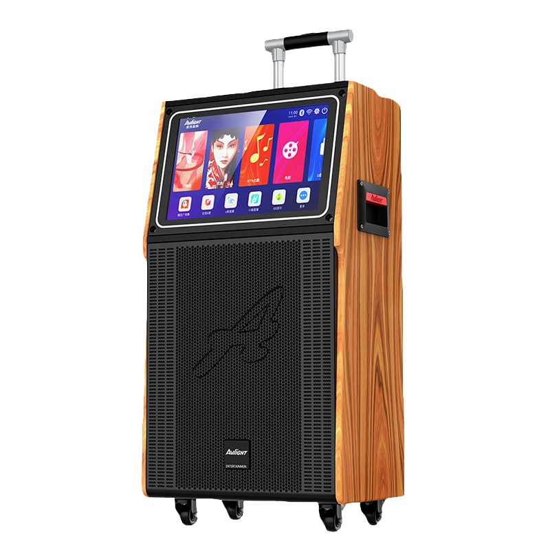 爱浪(Avlight)DS11-212广场舞音响带显示屏拉杆户外演出户外网红直播蓝牙音箱无线麦克风内置声卡
