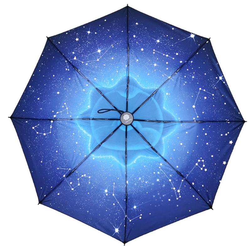 苏格拉宁晴雨伞 蓝胶 小狮子