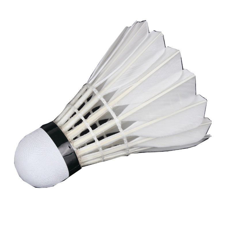 焦点羽毛球R5 10筒每筒12只装