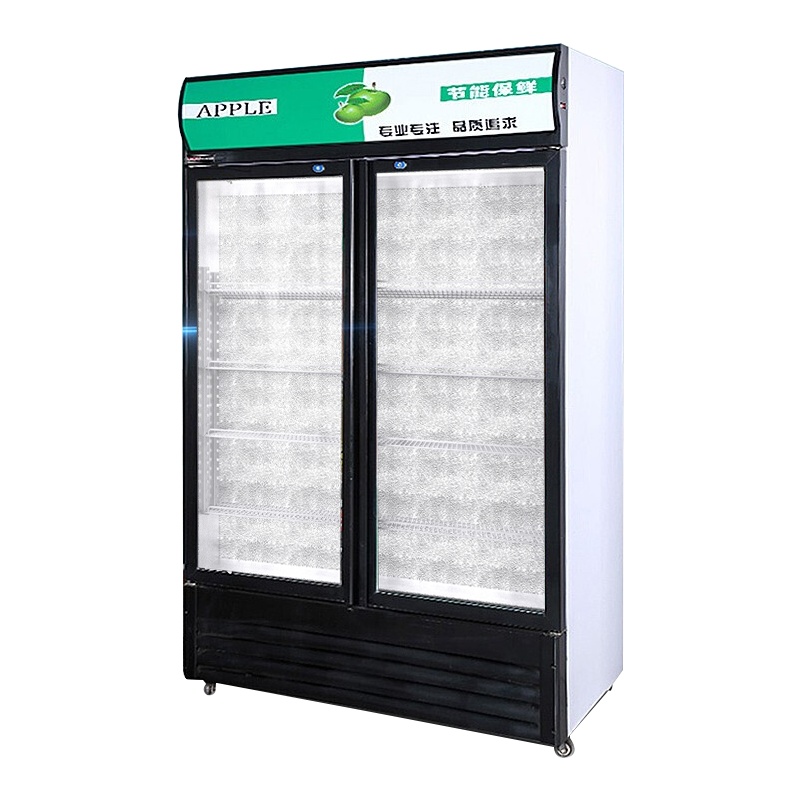 乐创(lecon)展示柜冷藏饮料柜商用立式冰柜冰箱冷柜保鲜柜 [双门绿黑色] [风冷下压缩机]