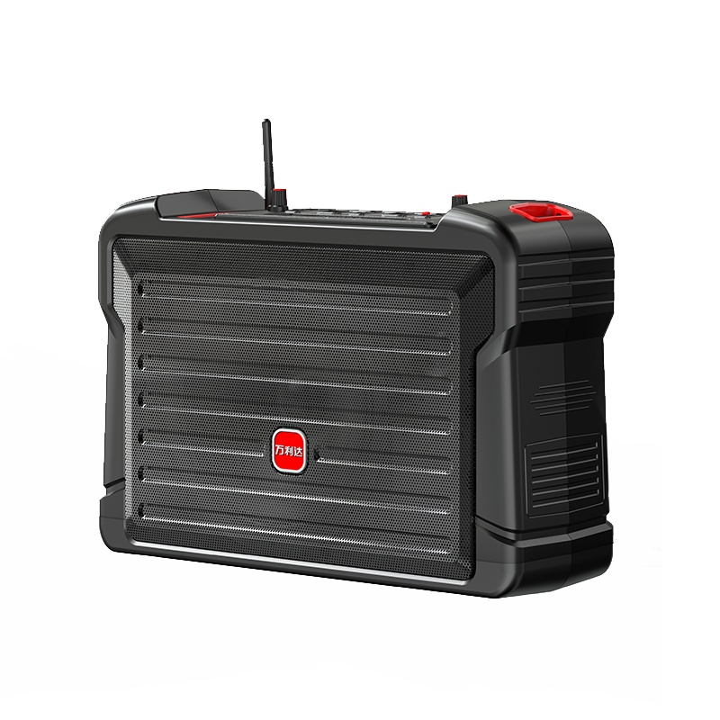 万利达(malata)户外音响 广场舞音响 蓝牙手提音箱 室外移动背包便携式音响 会议音响带双麦克风M+9113