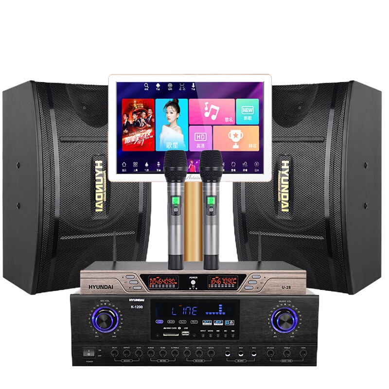 现代(HYUNDAI)HY110A套装 家庭影院KTV音响组合套装 点歌机家用卡拉OK会议舞台功放音响设备客厅