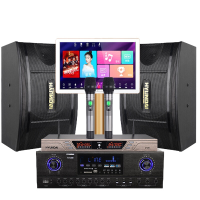 现代(HYUNDAI)HY110A套装 家庭影院KTV音响组合套装 点歌机家用卡拉OK会议舞台功放音响设备客厅