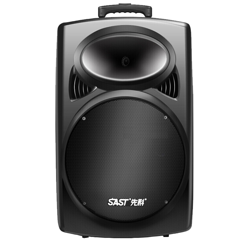 先科(SAST) 15英寸移动便携式广场舞音响 户外大功率蓝牙拉杆音箱 重低音炮带无线麦克风扩音器有源音箱