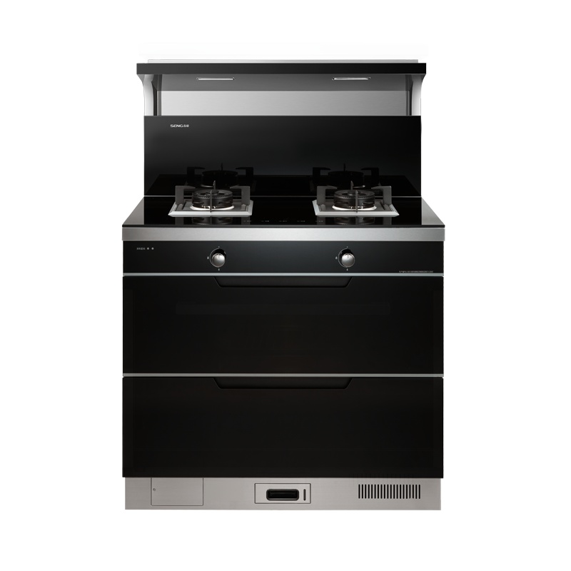 森歌(SENG) D2集成灶家用消毒柜一体灶厨房抽油烟机 液化气