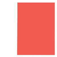 企购优品 彩色卡纸硬A4彩色复印纸打印纸 红色[100张] A4 硬卡纸160g