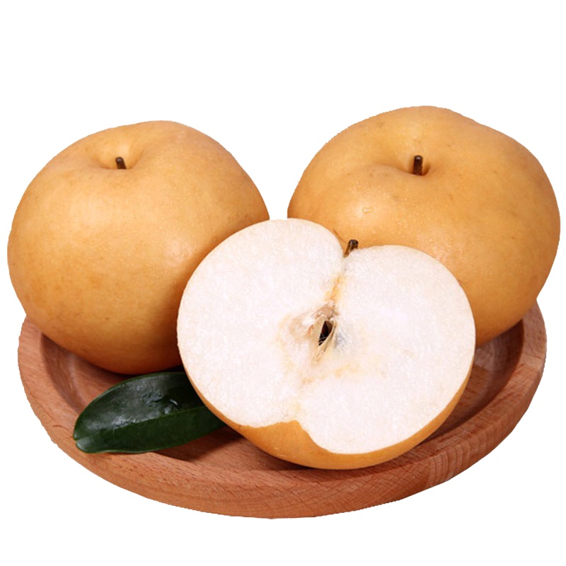 鲜贝达 秋月梨5斤装中果[单果300g以上]梨子