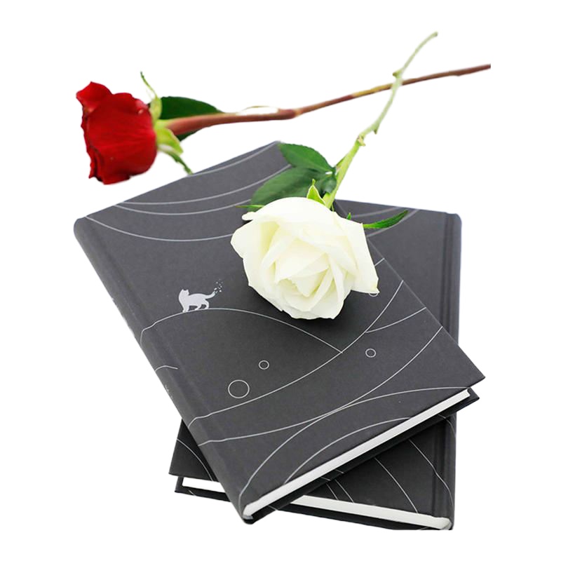 正版新经典文化 人生海海 (莫言盛赞 杨洋李健倾力推荐 茅盾文学奖得主麦家2019新作) 北京十月文艺出版社