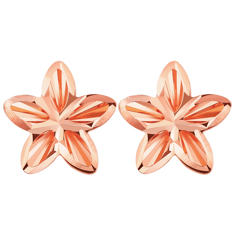 佰色传情(BRIR)18K金耳饰彩金耳环玫瑰金耳钉五角星立体镂空