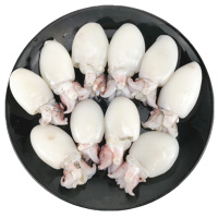 [四海生鲜] 东山自然海捕墨鱼1000g大墨鱼墨鱼仔乌贼多规格 新鲜活冻海鲜水产