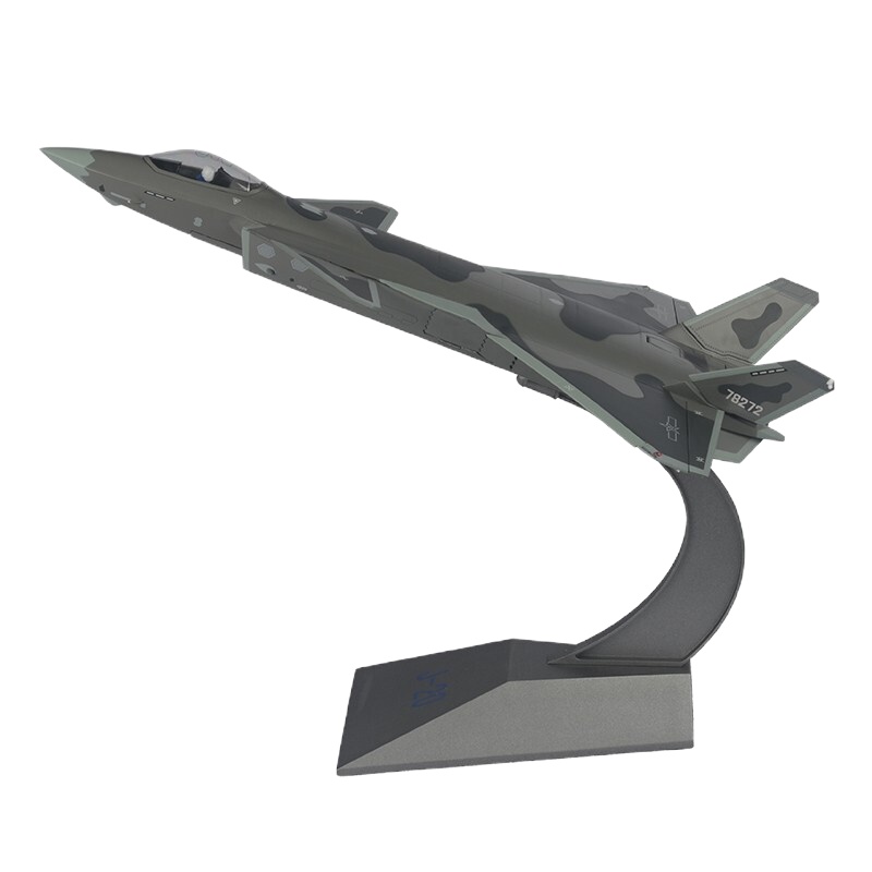 歼20飞机模型 迷彩涂装 1:48