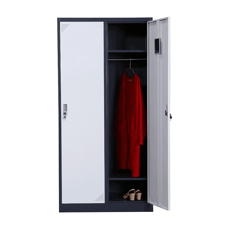 匡大 办公柜钢制0.9米铁皮2门更衣柜KD-G1020
