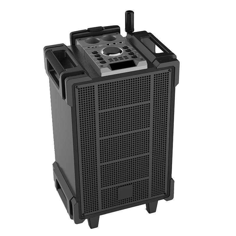 爱浪(AvliGHT) DX20-10pro户外广场舞音响直播K歌拉杆移动便携一体式大功率音箱抖音快手网红 10吋