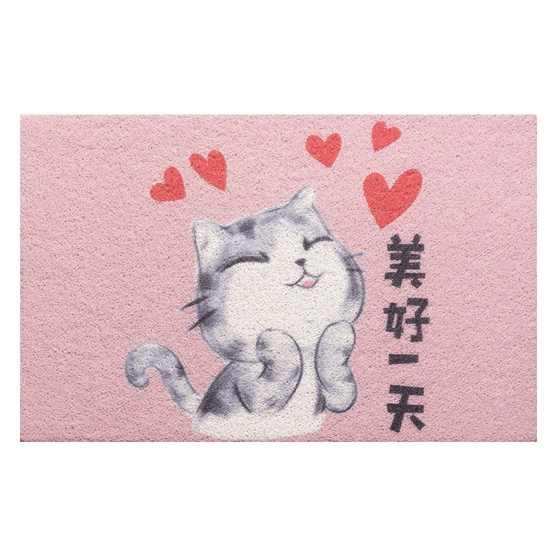 远梦家纺 丝圈室外防滑地垫汽车脚垫易清洗进门垫