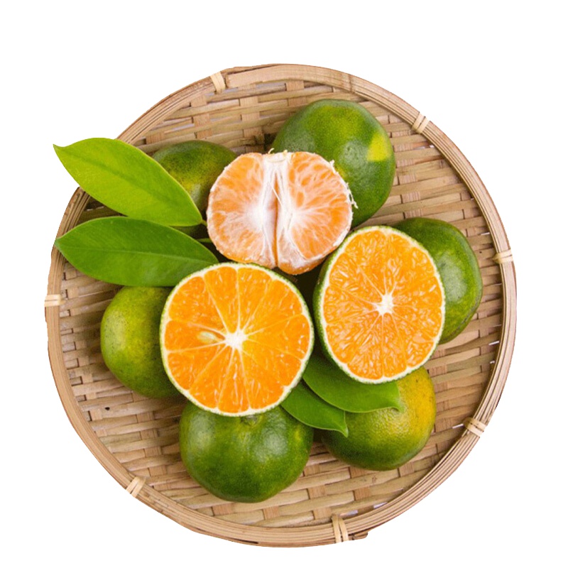 云南现摘蜜桔应季采摘 热卖精品 3斤大果 单果90-120g
