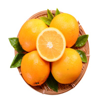 赣南脐橙时令应季手剥橙 8斤单果75-80mm 当季新鲜水果