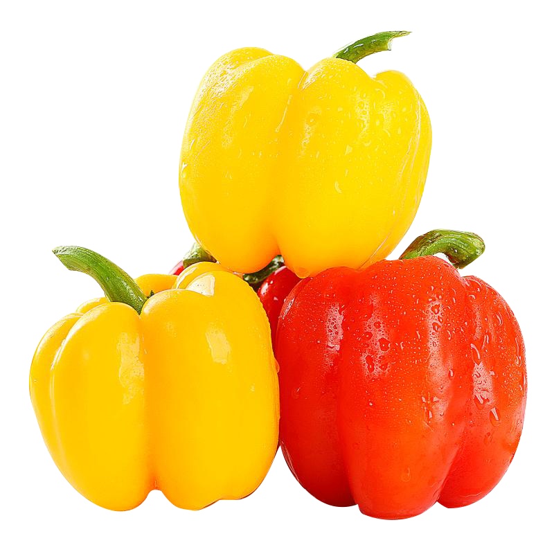 燎原新鲜五彩椒 现摘红黄灯笼圆椒水果甜椒绿色蔬菜 3斤顺丰