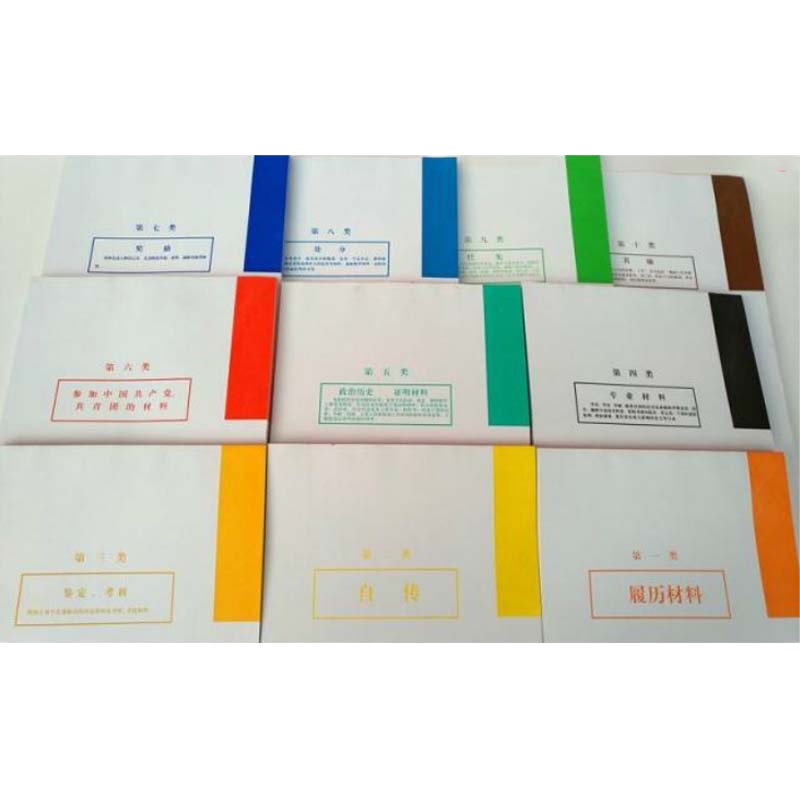 ZEBRA 干部档案分类纸 A4 10大分类 双胶白纸彩色印刷 (100张/包)