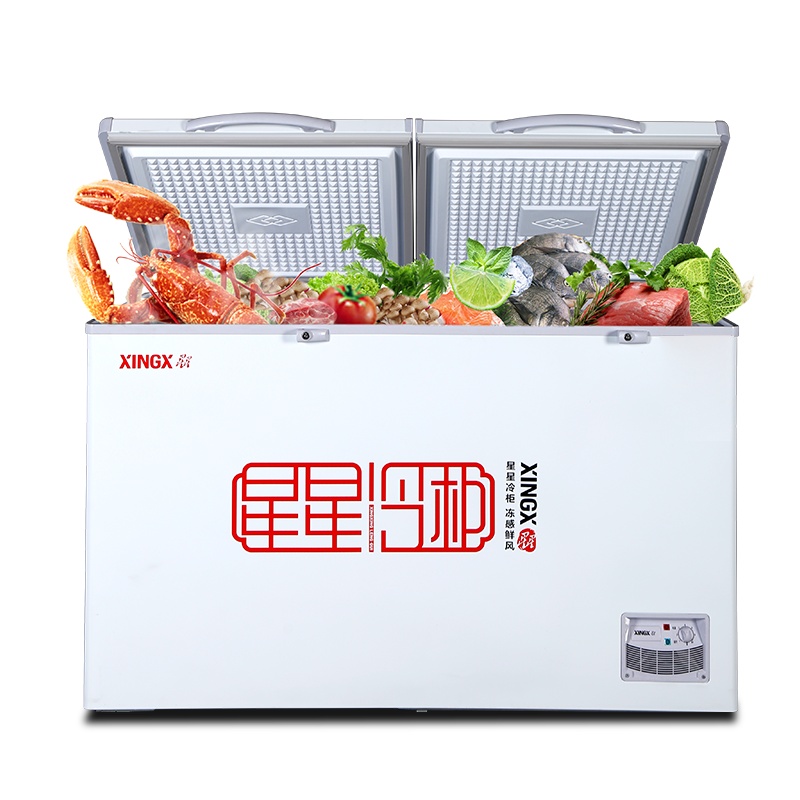星星(Xingx) 303升 冰柜冷柜 商用卧式大容量 冷藏冷冻转换单温冰柜 二级能耗(白色) BD/BC-303FE