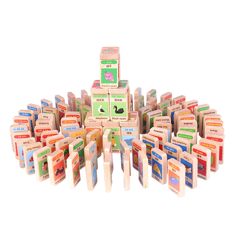 木玩世家100粒木制拼音认知多米诺骨牌积木玩具3-6周岁B4111B