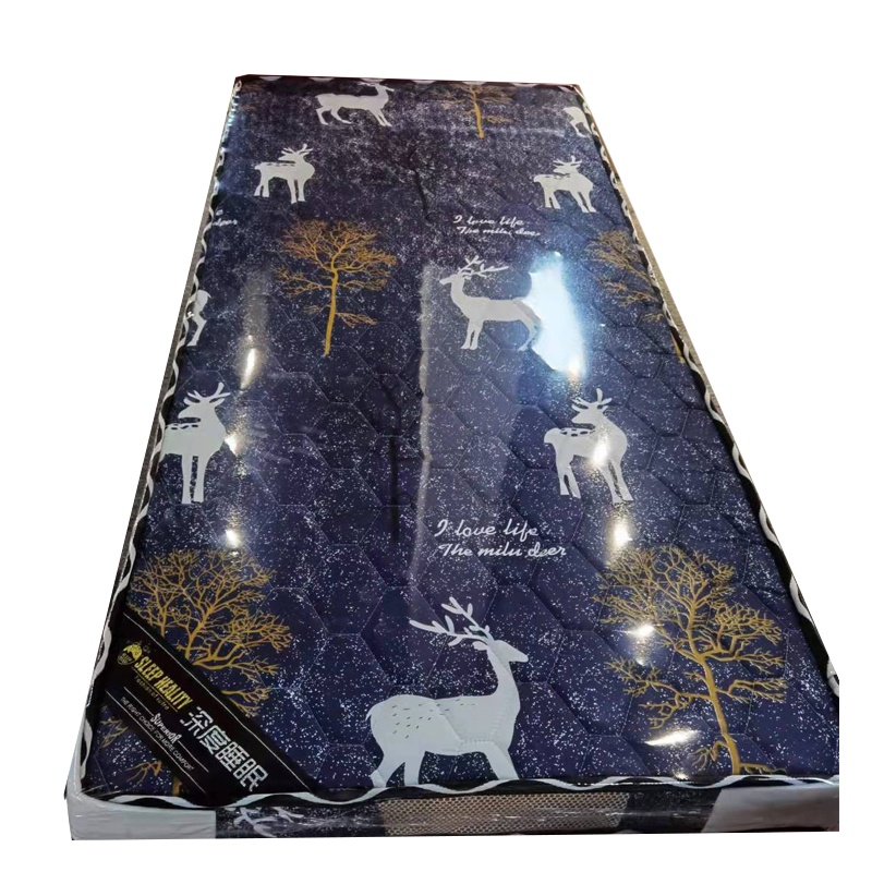 隆博盛景 单床床垫 学生宿舍床垫 家用床垫