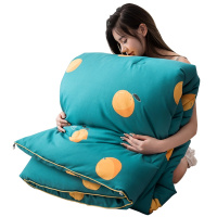 泰念Tai nian 清新潮流冬被秋冬季纤维被被芯亲肤棉加厚保暖被子新款简约羽丝绒双人床用 150*200cm4斤5斤