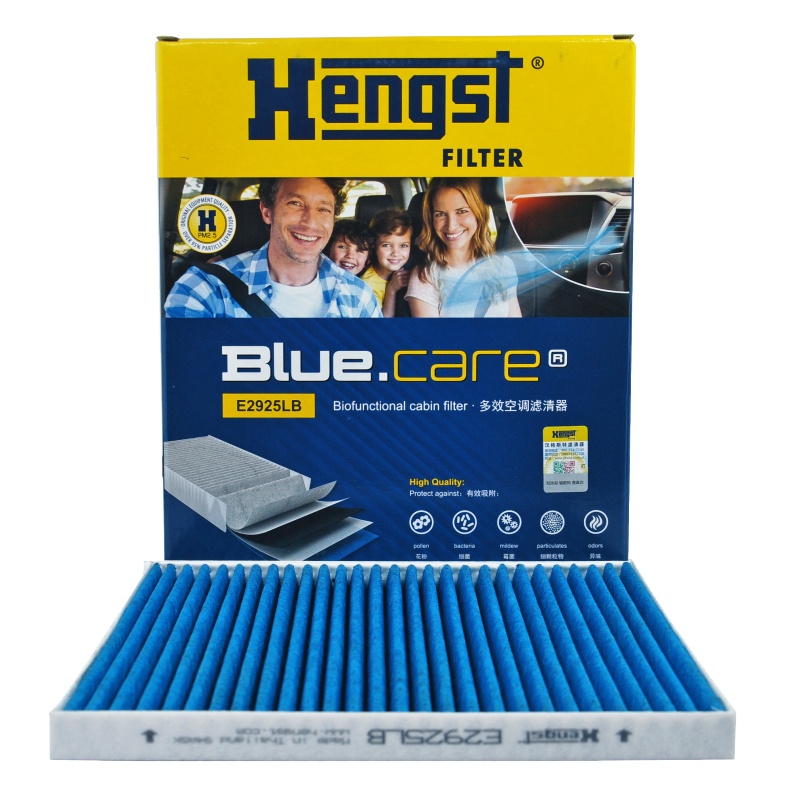 汉格斯特(hengst)多效空调滤E2925LB适配飞思/K3/佳乐3/锐欧