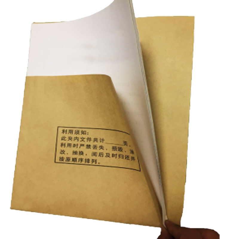 佳颂 半截袋无酸纸袋A4 L型档案袋档案袋分类袋资料袋文件袋 内页 100个每包