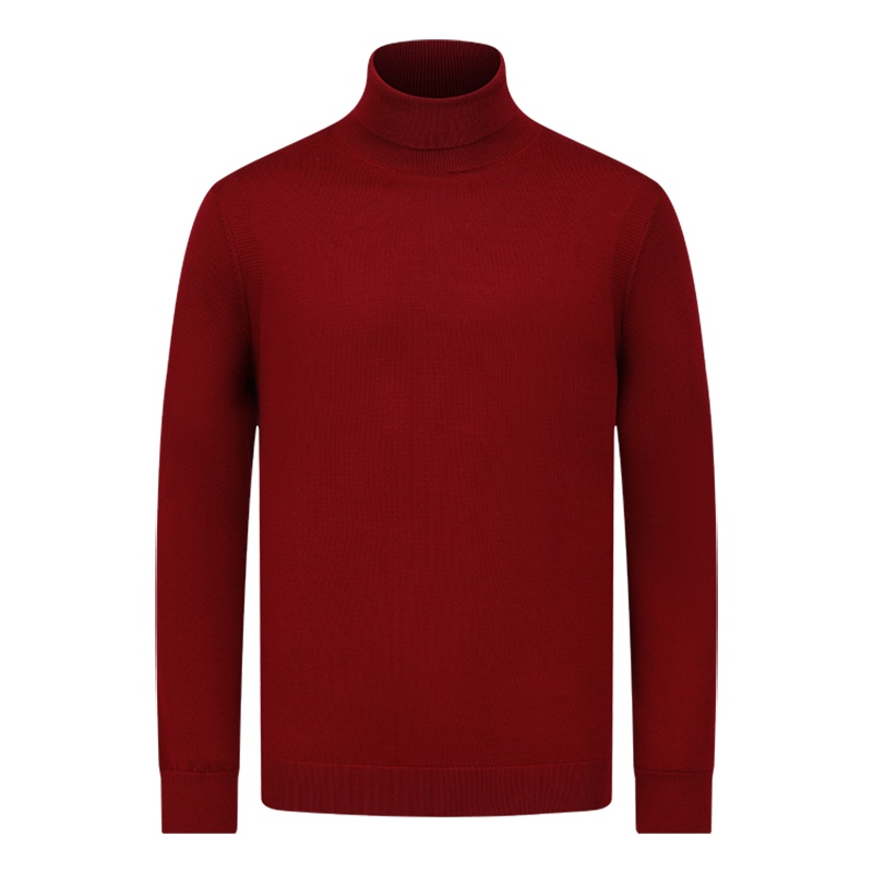 鄂尔多斯 | MEN'S [可机洗精纺款]易打理美丽诺羊毛高领纯羊毛衫男