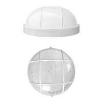 防潮防爆灯 50W超亮节能灯