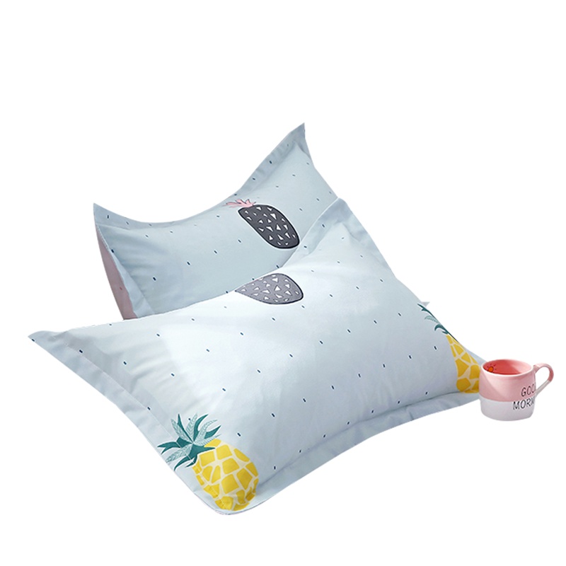 北极绒(Bejirog)家纺 一对装枕套情侣成人枕头套单人枕芯套卡通芦荟棉