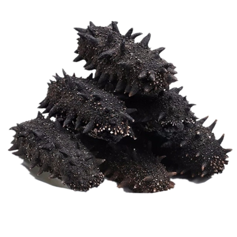 君旺海鲜 淡干海参大连海鲜特产底播250g/盒(25头左右)6年龄以上辽参刺参海鲜干货礼盒装