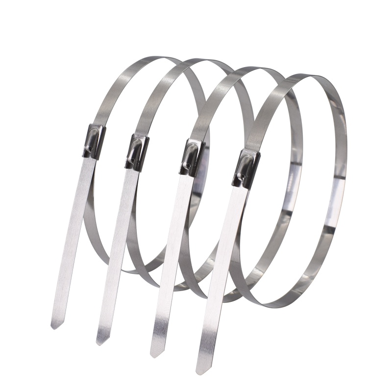 保拉(Paola)不锈钢自锁扎带4.6×400mm(50根) 耐腐蚀耐高低温铁路电信电网金属铭牌机械设备捆绑扎带5613