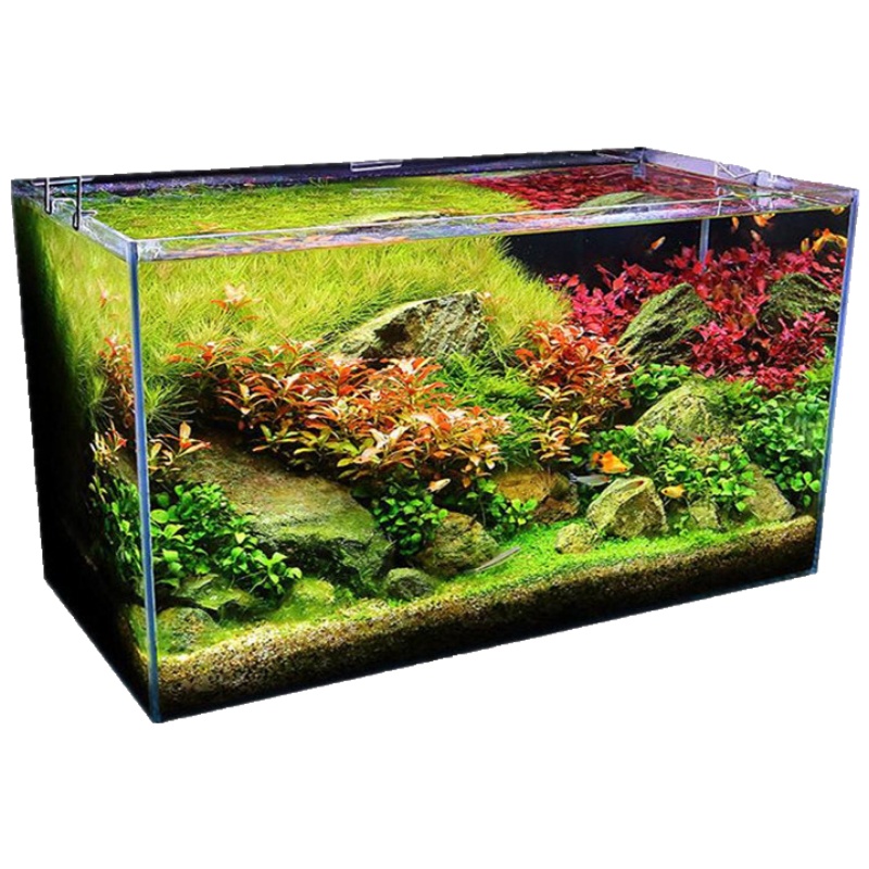 鱼缸客厅免换水懒人家用办公室玻璃桌面水族箱生态中型带底柜
