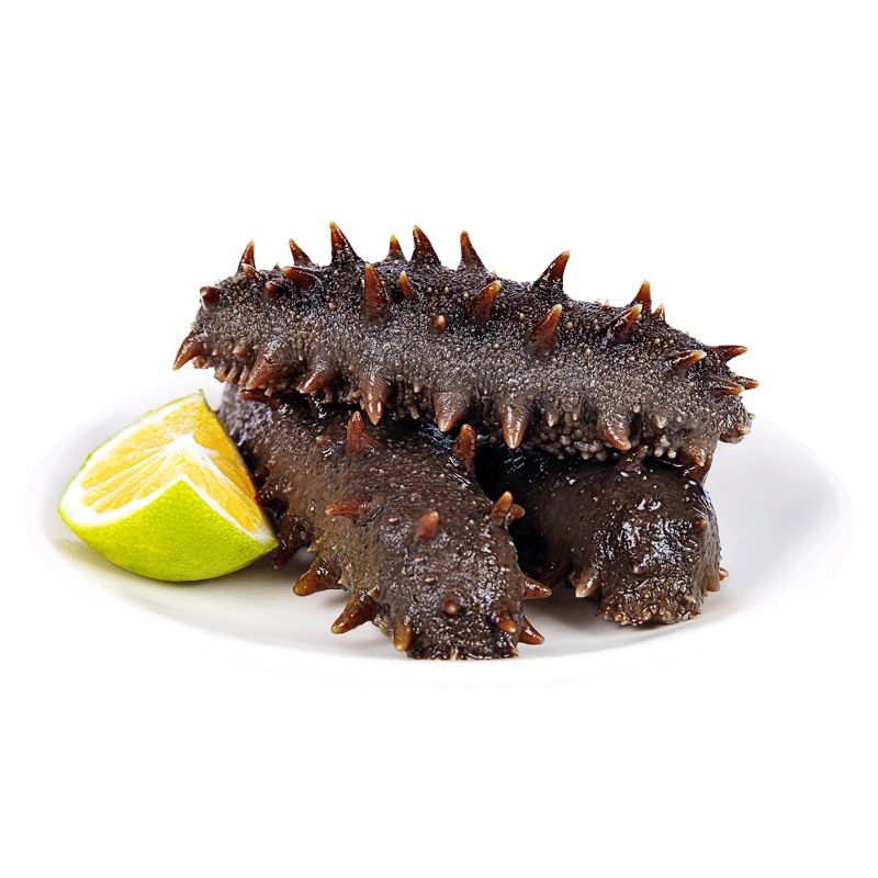 宫品有机冷冻即食海参500g 刺参海鲜礼盒 鲜活加工