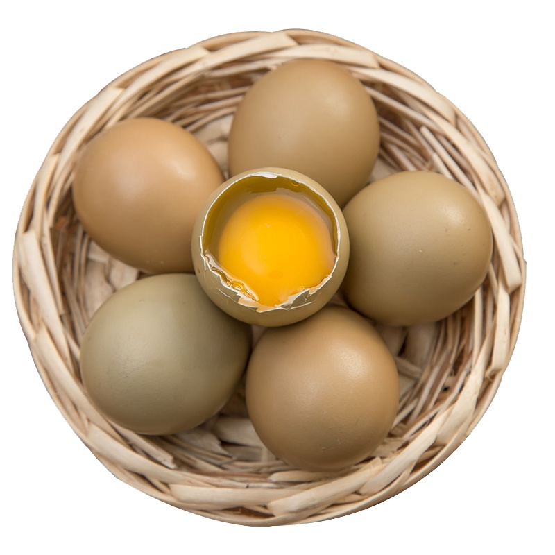 新鲜野鸡蛋10枚 农家散养鸡蛋 鲜鸡蛋 七彩山鸡蛋 非鹅蛋鹌鹑蛋鸽子蛋鸭蛋