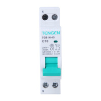 天正电气 空气开关 TGB1N-40 1P+N 4.5KA 01060290003 微型断路器