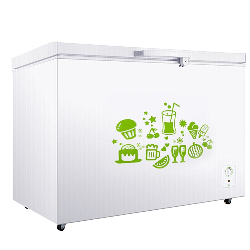 容声 BD/BC-309MD 309升大容量单温冰箱冷柜 一级商用冷藏冷冻冰柜 1130*767*852